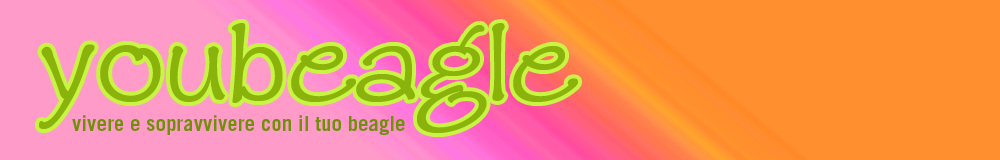 YouBeagle.com
