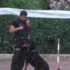 Immagini dalla Gara Notturna alla Scuola Cinofila La Valletta