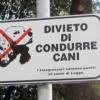In vacanza con il cane? SI, si può!