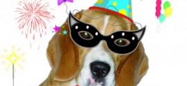 Beagle’s Birthday: buon compleanno NINA!