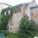 Tre beagle in mezzo al verde