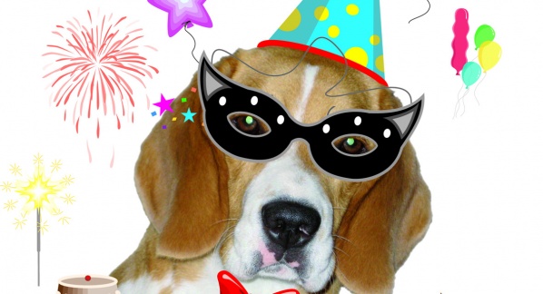 Beagle’s Birthday: buon compleanno NINA!