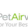 Nasce la Pet Airways: Una Linea Aerea solo per Cani e Gatti