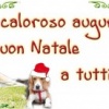 TANTI BEAGLE-AUGURI! MA… PENSIAMO ANCHE A CHI SOFFRE