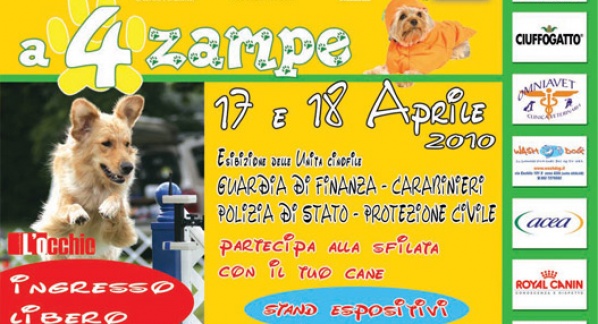 Un beagle sul podio del concorso “A 4 Zampe”!
