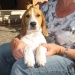 e anche Ciccio se ne va…